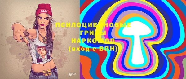 стаф Верхний Тагил