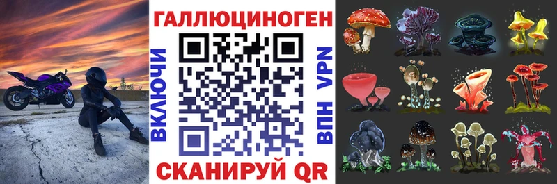 Псилоцибиновые грибы Cubensis  Гаврилов-Ям 